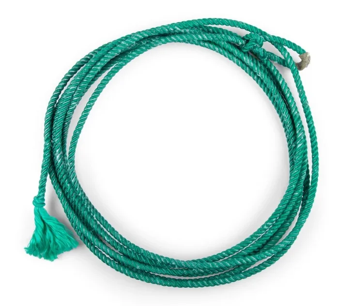 Mustang Little Looper Kids Rope with Rawhide Burner