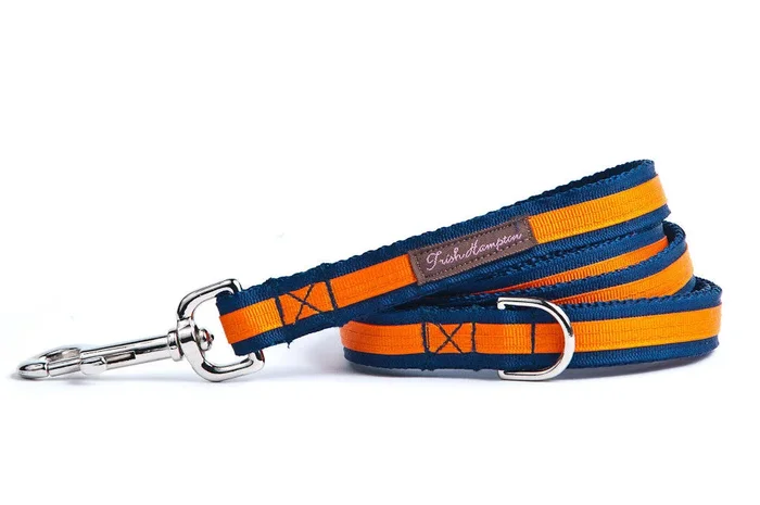 Navy/Bright Orange Stripe 6ft Dog Leash – 305