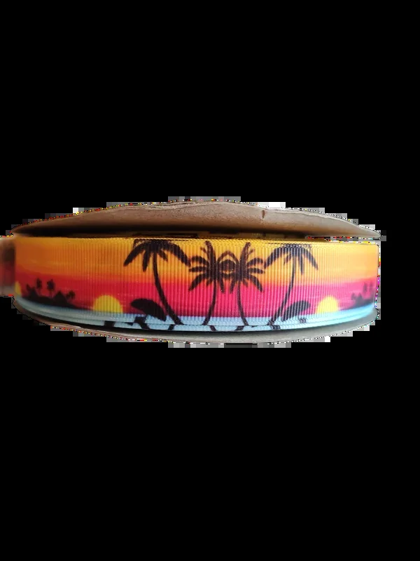 Neon Sunsets Nylon Dog Collar