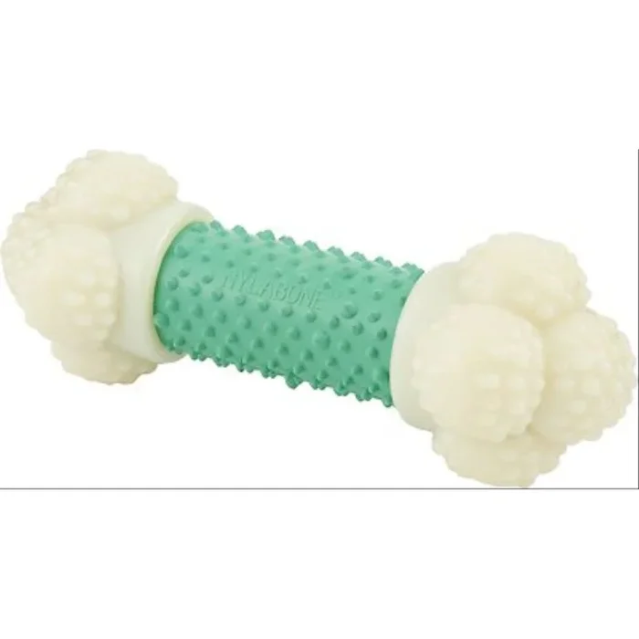Nylabone – Double Action Chew Mint Regular