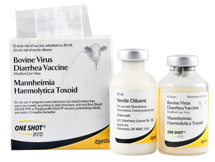 One Shot® BVD