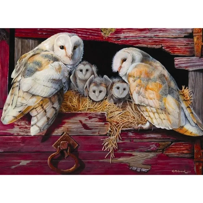 Outset Media – Puzzle: Barn Owls