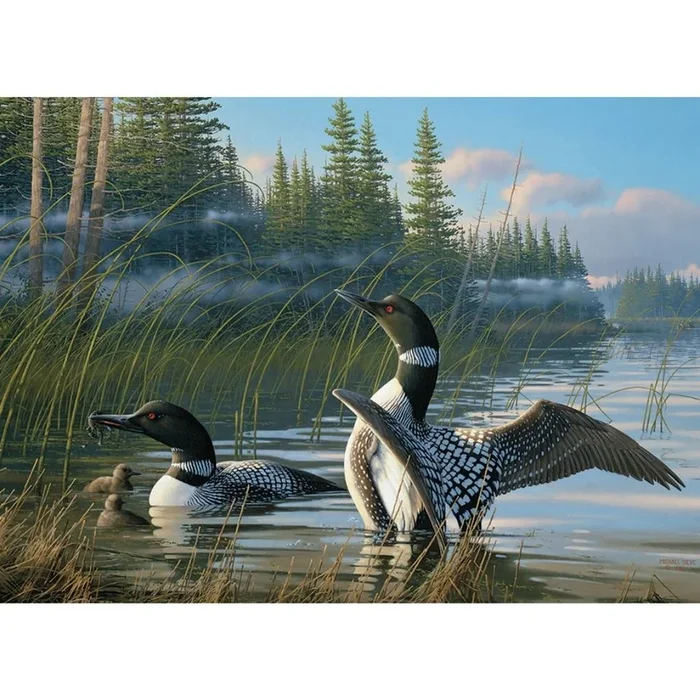 Outset Media – Puzzle: Common Loons