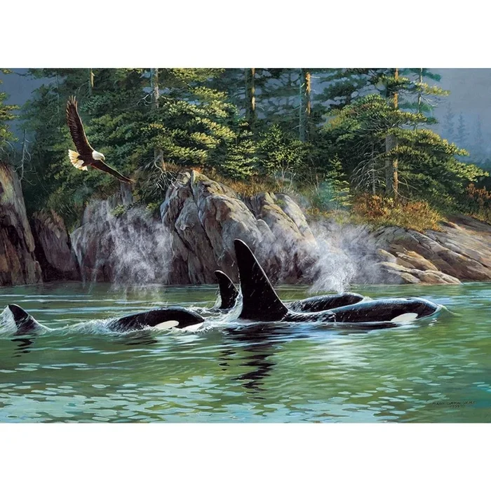 Outset Media – Puzzle: Orca’s