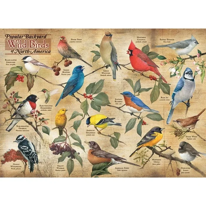 Outset Media – Puzzle: Popular Backyard Wild Birds of North America