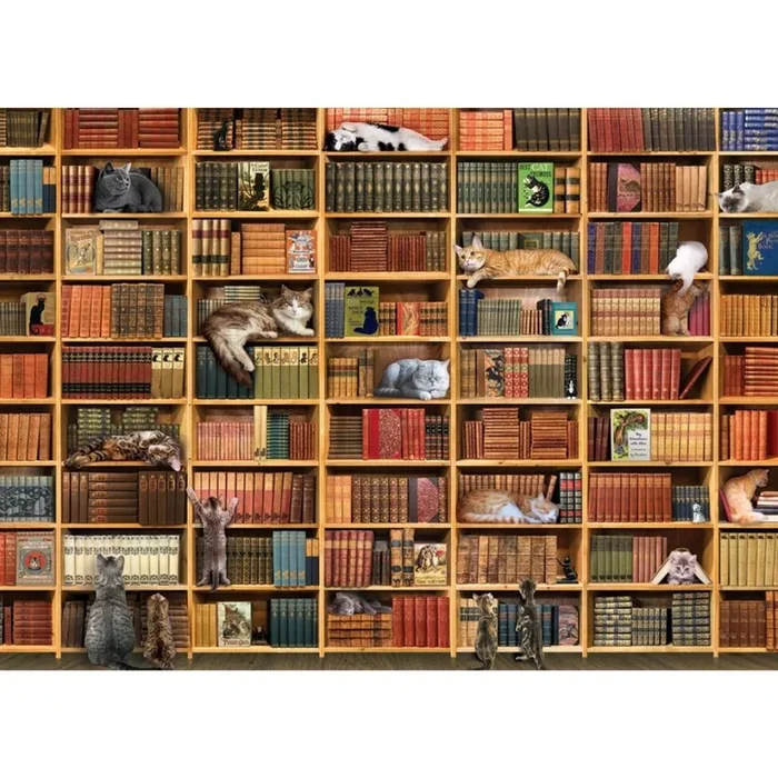 Outset Media – Puzzle: The Cat Library 1000 Piece