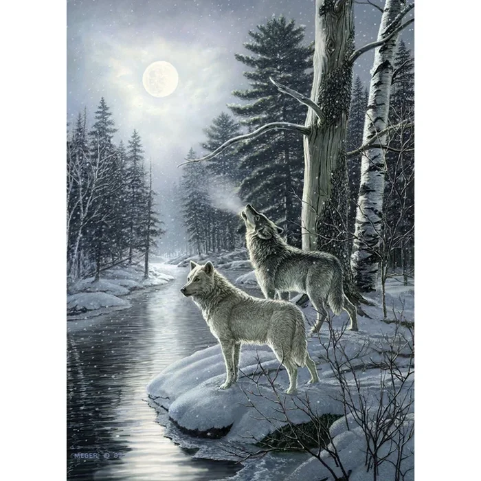 Outset Media – Puzzle: Wolves By Moonlight