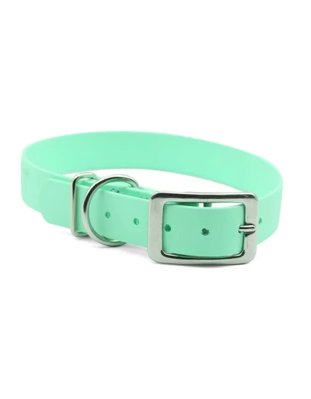 PACKT Ascent Buckle Collar Seabreeze
