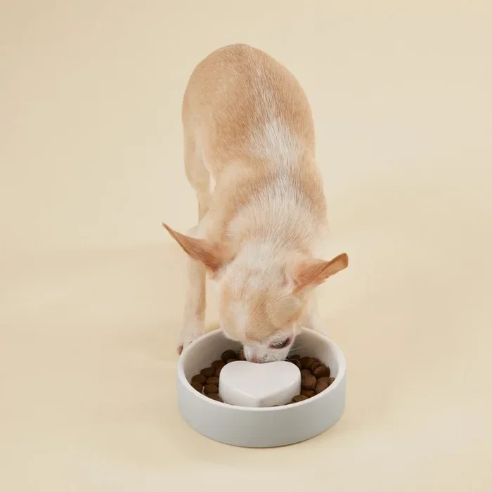 Paikka – Slow Feed Concrete Pet Bowl with Heart Center