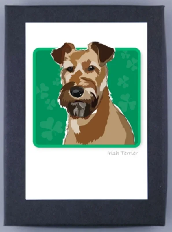 Paper Russells Boxed Note Cards – Irish Terrier