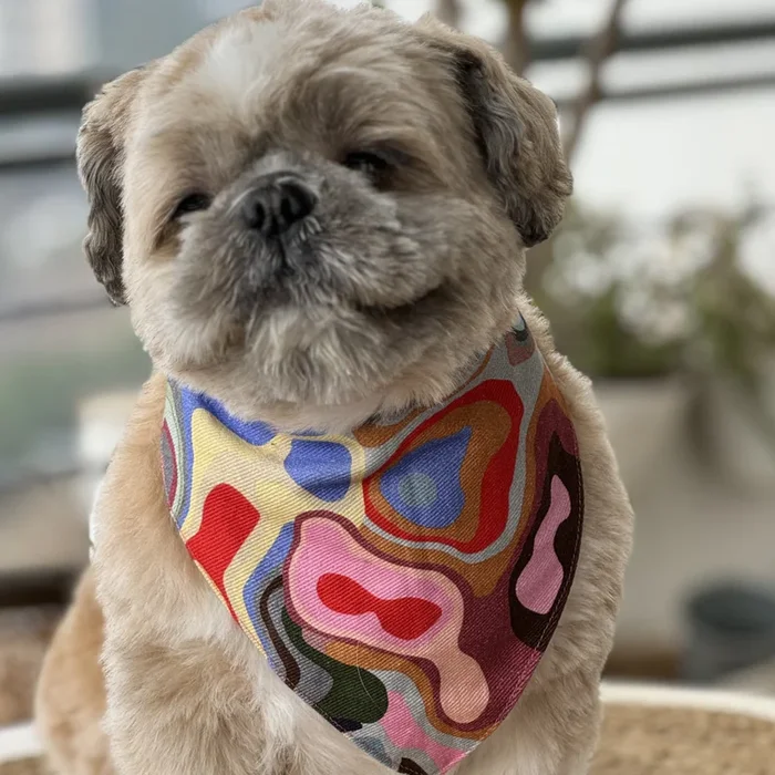 Pawgypets Bandana for Dogs and Cats (Multi Color)