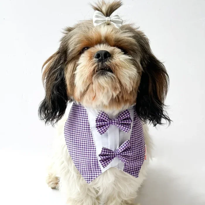 Pawgypets Casual Check Bandana for Dogs and Cats (Purple)