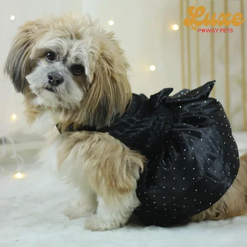 Pawgypets Luxe Balloon Dress for Dogs and Cats (Black)