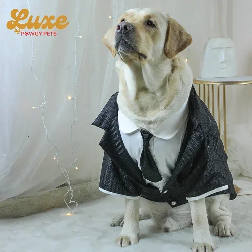 Pawgypets Luxe Shimmering Black Tie Tuxedo Dress for Dogs and Cats (Black)