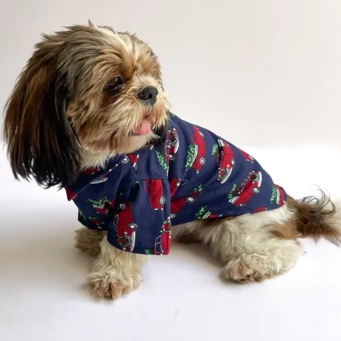 Pawgypets Warm Winter Cars Shirt for Dogs and Cats (Blue)