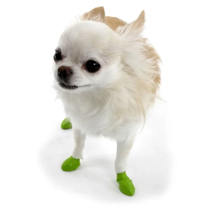 PawZ Waterproof Dog Boots – Disposable, Reusable, Non-Slip Paw Protectors, 12 Pack
