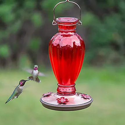 Perky-Pet® Daisy Vase Vintage Hummingbird Feeder – 18 oz Nectar Capacity