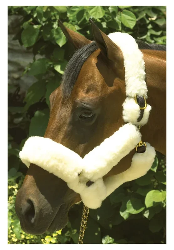 Perri’s Genuine Sheepskin Shipping Halter, Havana/Natural