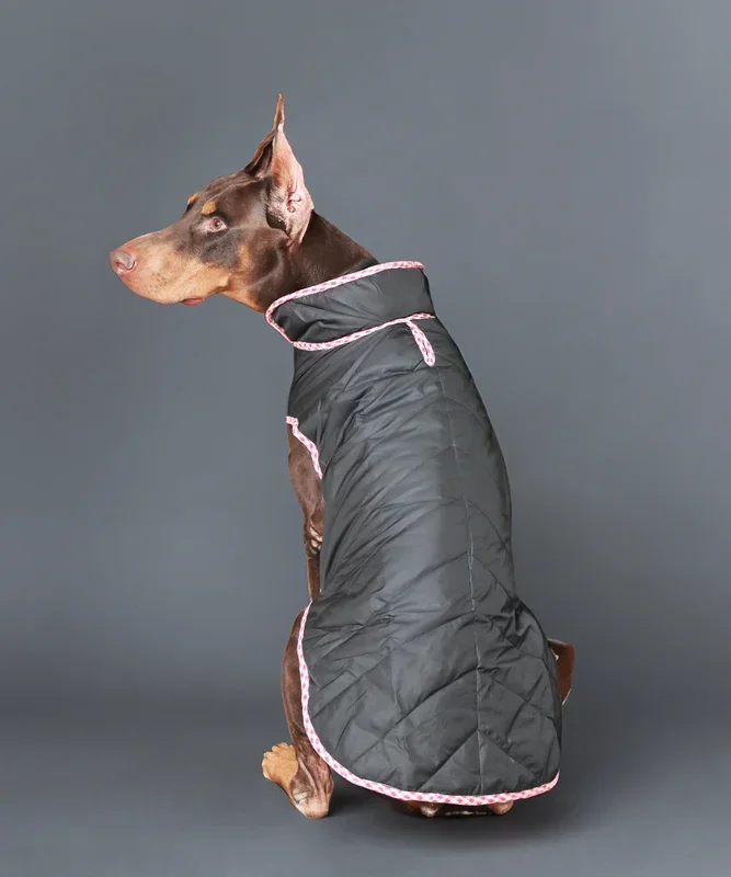 Pet Set Go Wind Sheeter Jackets for Dogs (Black)