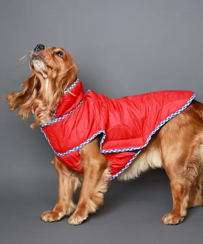 Pet Set Go Wind Sheeter Jackets for Dogs (Red)