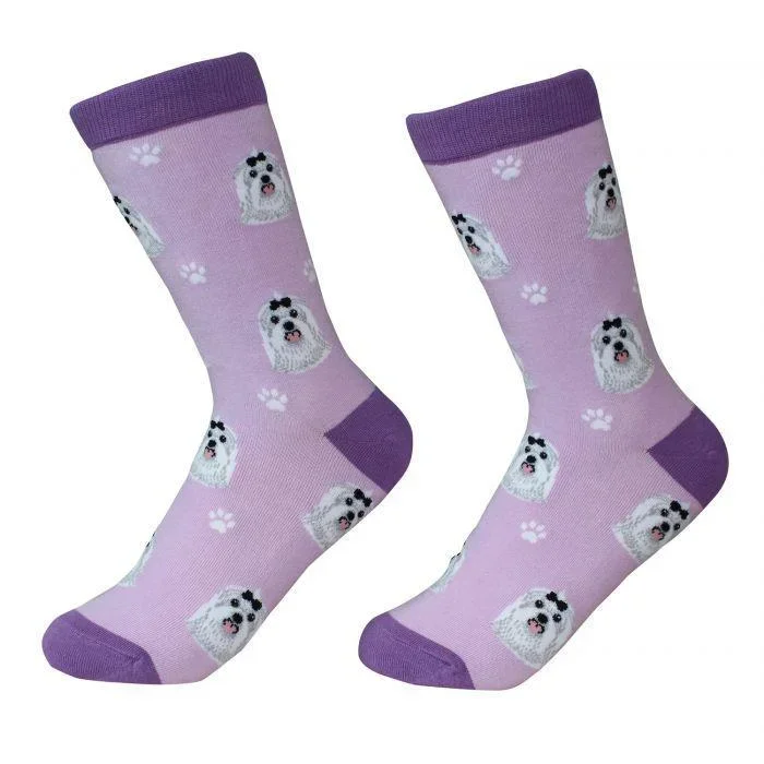 Pet Socks – Maltese