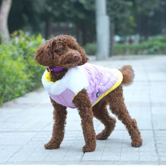 Pets Way Reversible Cozy Quilt Fur Winter Jacket for Dogs (Lavender)