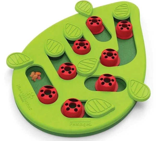 Petstages – Buggin Out Cat Puzzle Cat Toy