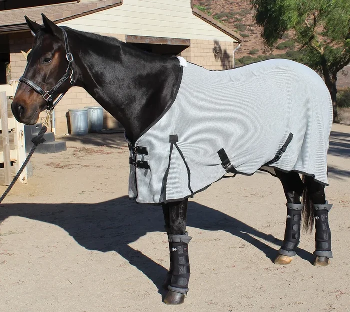 Professional’s Choice Theramic Therapy Horse Sheet