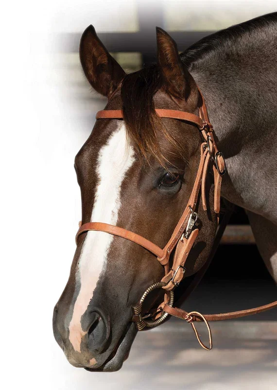 Professional’s Choice Trail Bridle