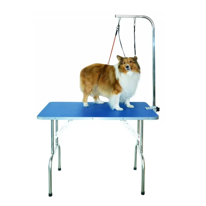 Professional Dog Grooming Table