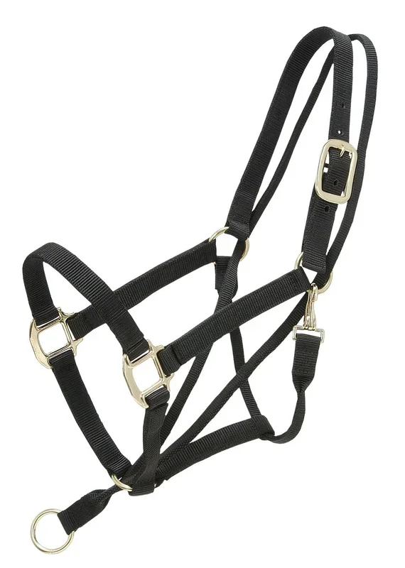Pull-Back Halter