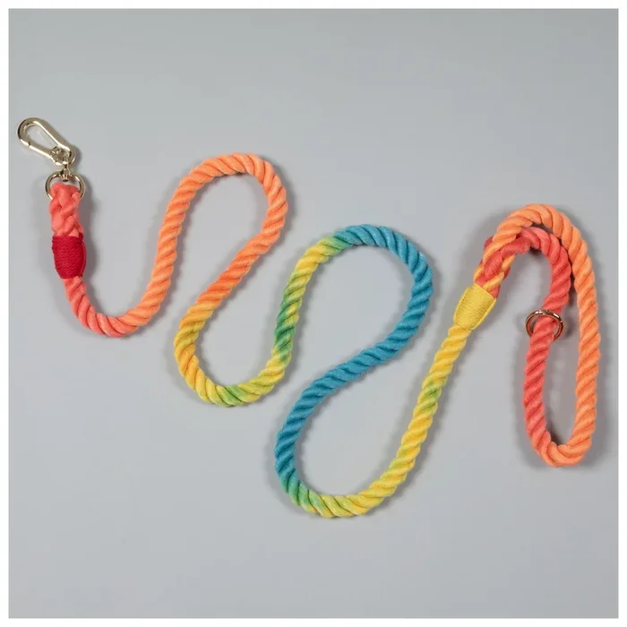 Rainbow Rope Dog Leash – 5 ft