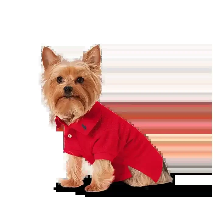 Ralph Lauren Dog Polo Shirt