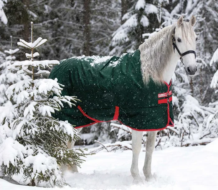 Rambo Original Horse Blanket, 1000D, 400g Heavy