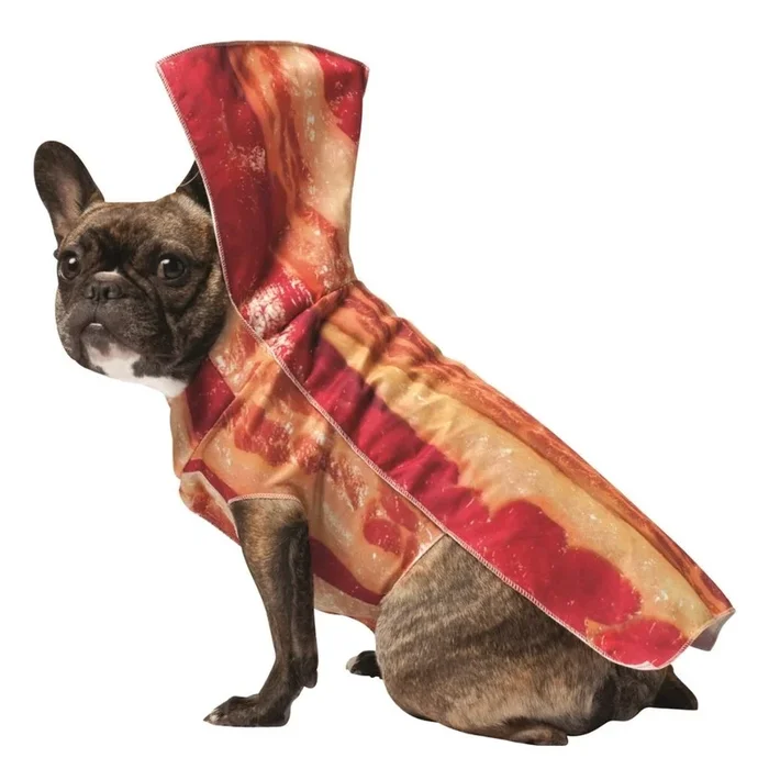 Rasta Imposta – Dog Costume Bacon