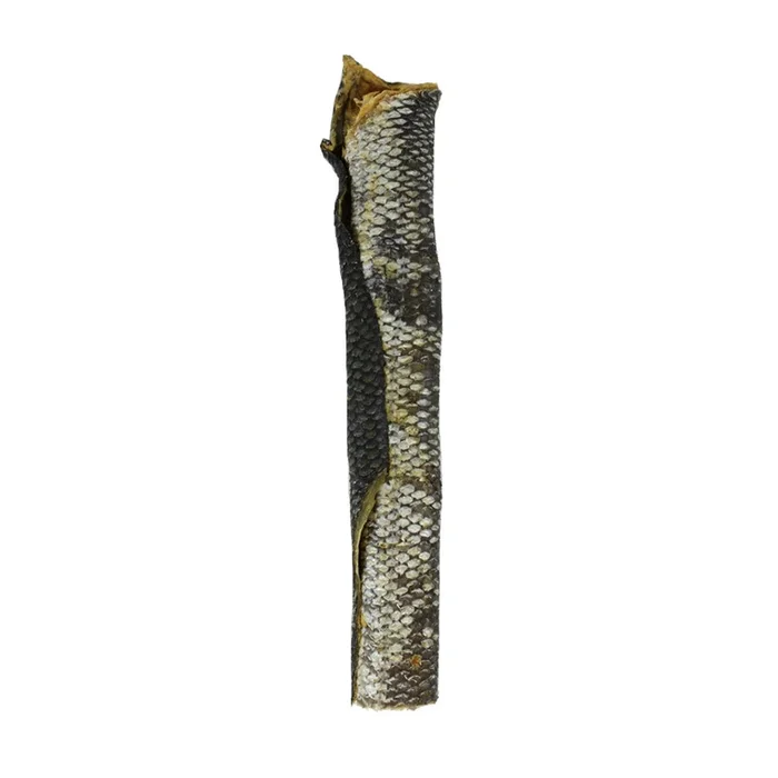 (Raw Bar) Freeze-dried Salmon Skin