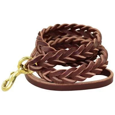Ray Allen Braided Leather Leash Brown