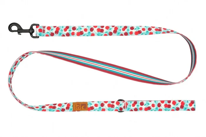 RC Pets Eco Leash for Dogs in Cherry Picnic and Orchard Stripe Patterns
