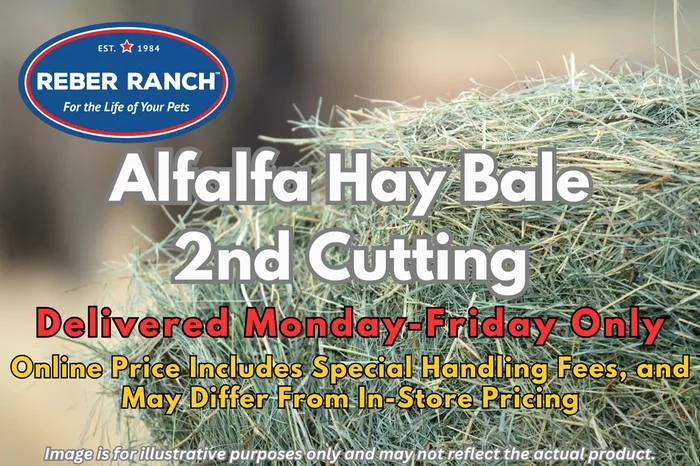 Reber Ranch Alfalfa Hay Bale – 2nd Cutting