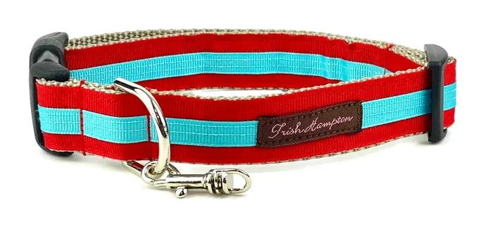 Red/Aqua Stripe Dog Collar – 330