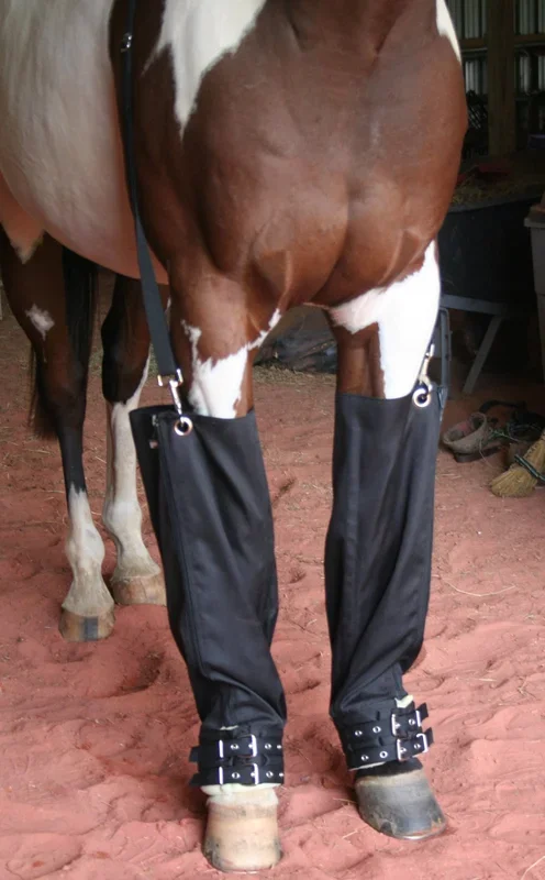 Roma Full Ice Boots for Horses, Pair