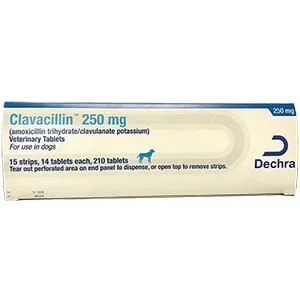 Rx Clavacillin (amoxicillin trihydrate/clavulanate potassium) Tablets for Dogs & Cats