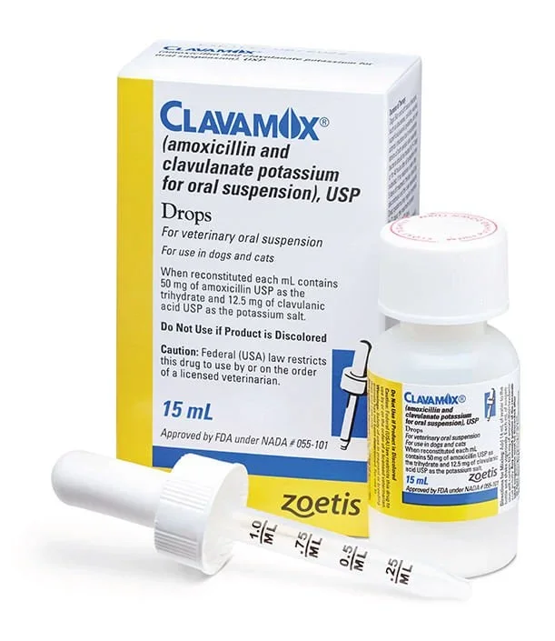 Rx Clavamox for Dogs and Cats (Amoxicillin trihydrate/clavulanate potassium) For Oral Suspension Oral Drops, 15 ml