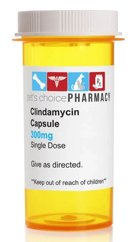 Rx Clindamycin HCl (Generic) Capsules for Dogs