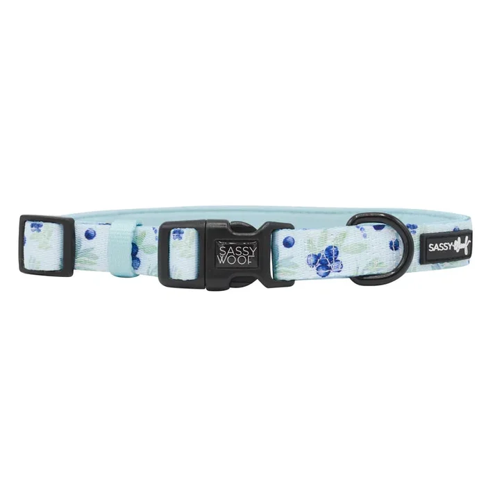 Sassy Woof Berry Sassy Dog Collar