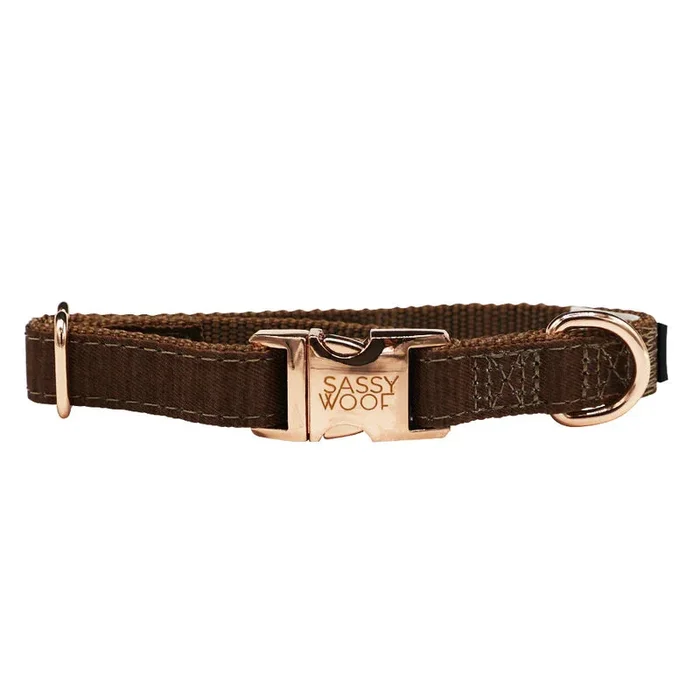 Sassy Woof Teddy Dog Collar