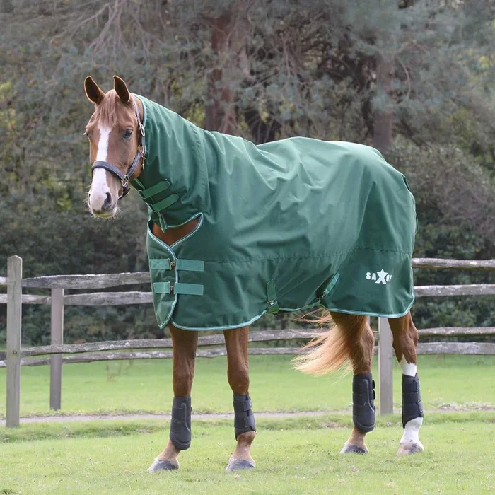 Saxon Defiant 1200 Denier Combo Neck Heavy-Weight Turnout Blanket for Horses, 300g – Waterproof & Insulated