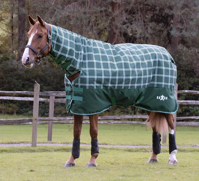 Saxon Defiant 1200D Combo Neck Medium Weight Horse Turnout, 200 Gram