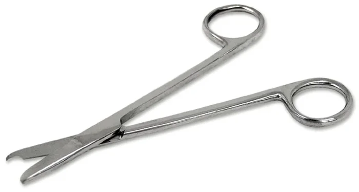 Scissors, 5.5″ Straight