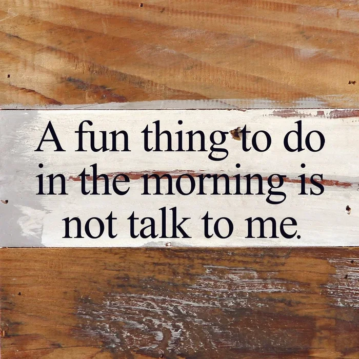Second Nature by Hand – A fun thing to do in the morning is not talk to me. / 6″x6″ Reclaimed Wood Sign